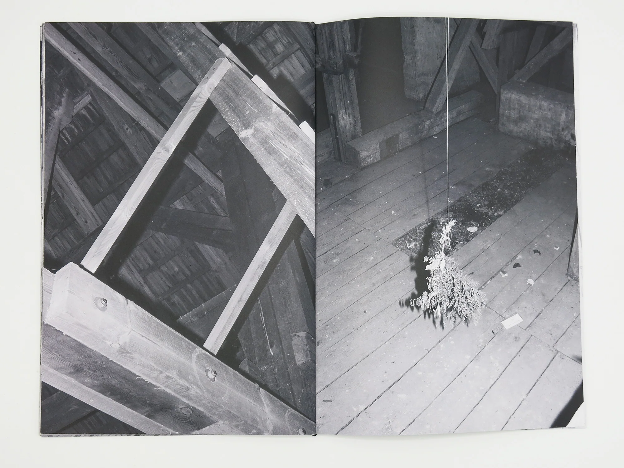 Sarah Walker - Pelči Manor - Image 8