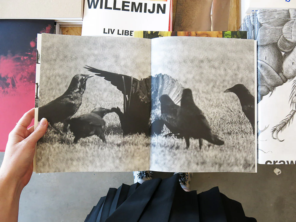 Wouter Van de Voorde – Death is not here - Image 5
