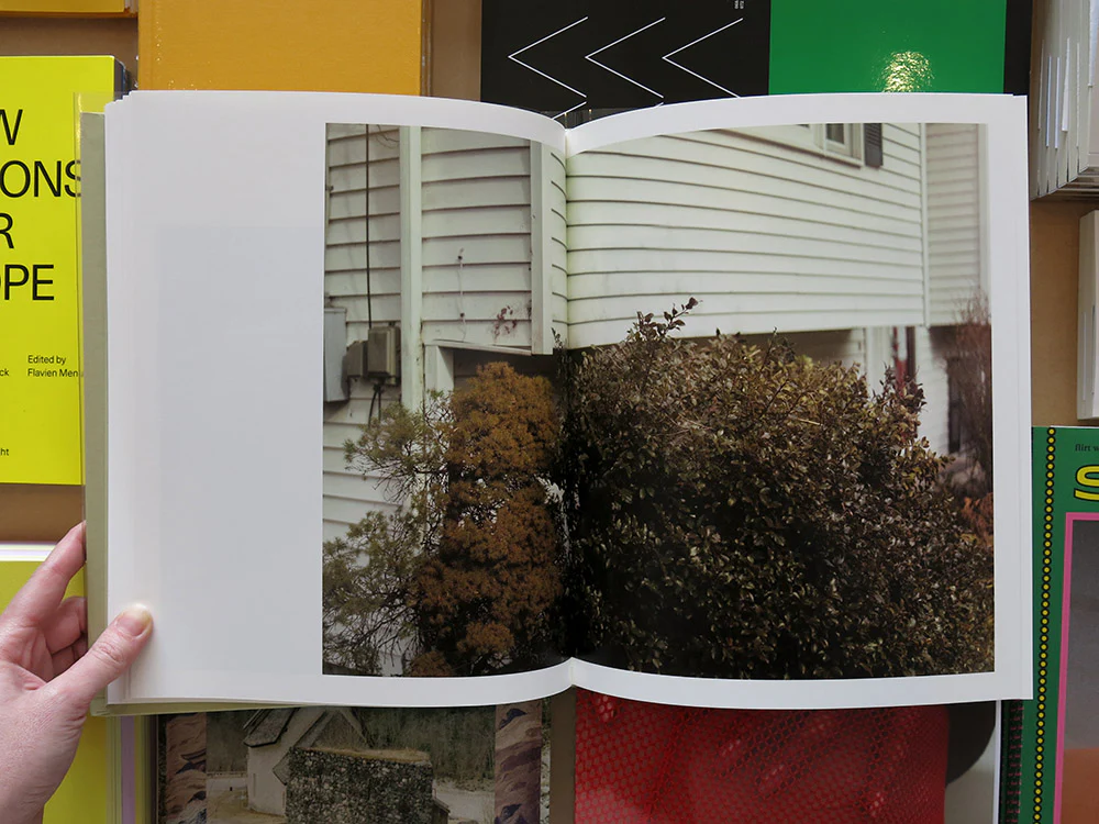 Raymond Meeks – ciprian honey cathedral - Image 5