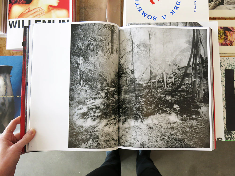 Richard Mosse – Broken Spectre - Image 5