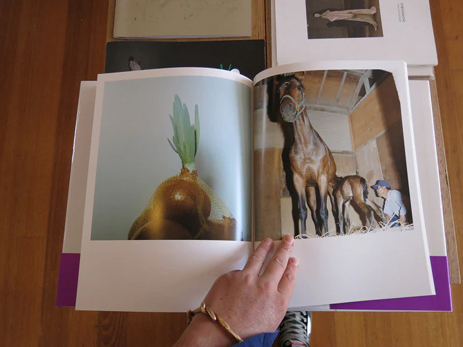 Rinko Kawauchi - Aila - Image 6