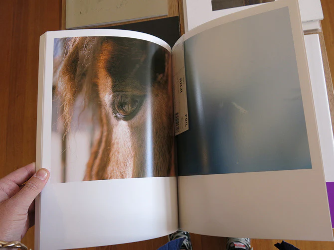 Rinko Kawauchi - Aila - Image 7