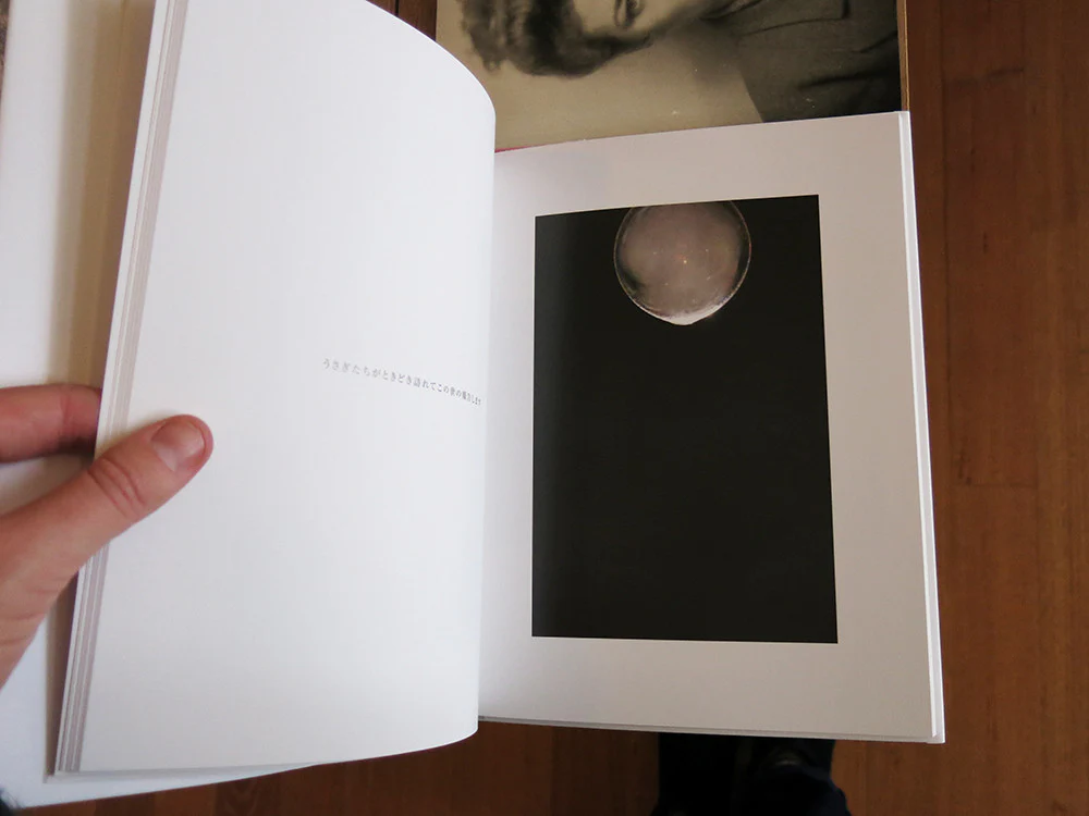 Rinko Kawauchi - Leiko Ikemura - Image 2