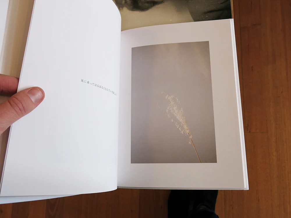 Rinko Kawauchi - Leiko Ikemura - Image 4
