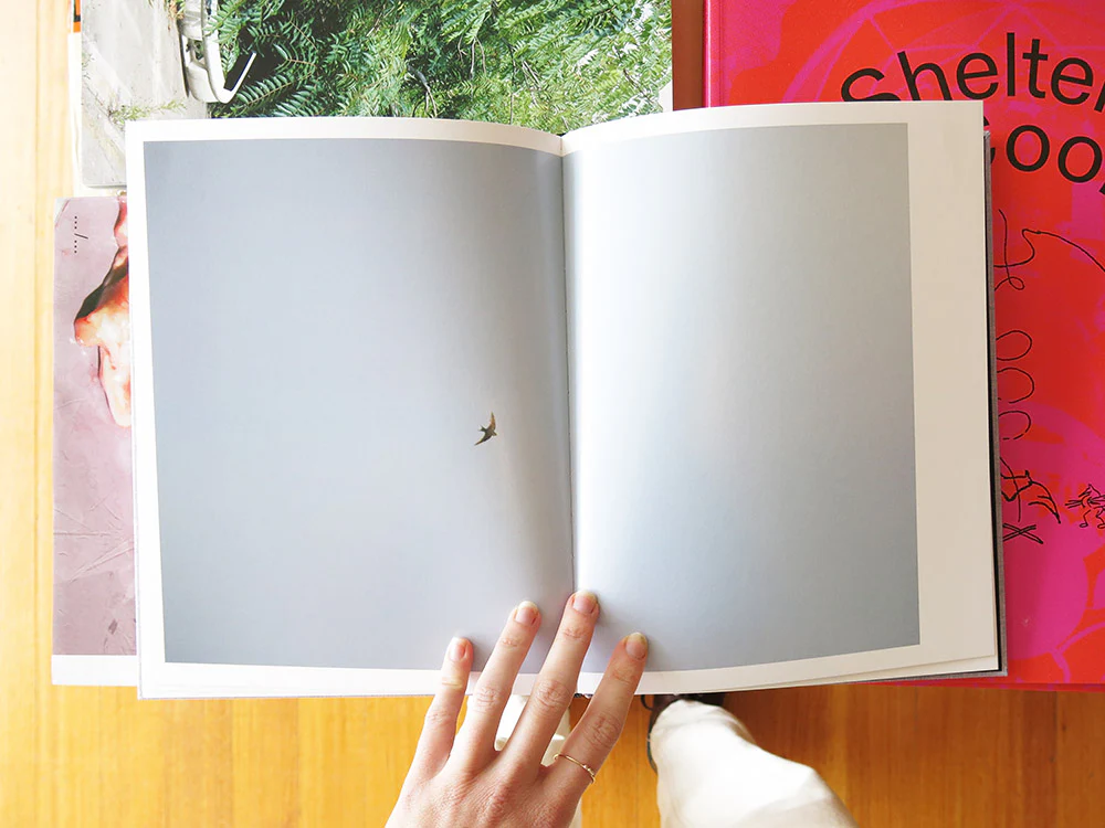 Rinko Kawauchi – On Birds (Des oiseaux) - Image 7
