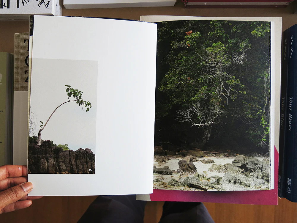 Rohan Hutchinson – Architecture for the Animals - Image 5