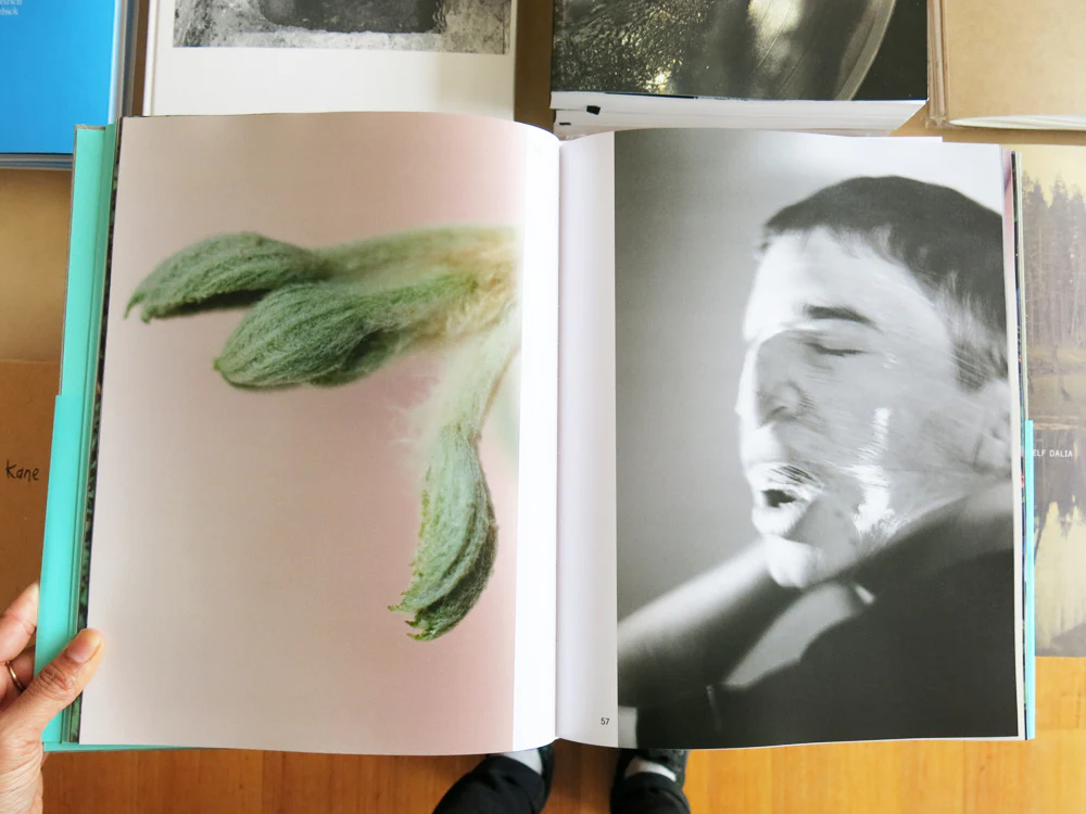 Ruth Erdt – Liar Lügner - Image 2