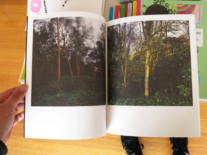 Sander Meisner - Botanica - Image 3