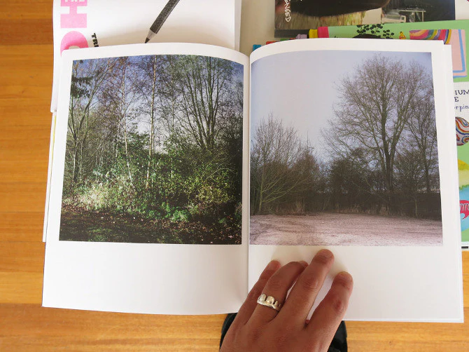 Sander Meisner - Botanica - Image 5
