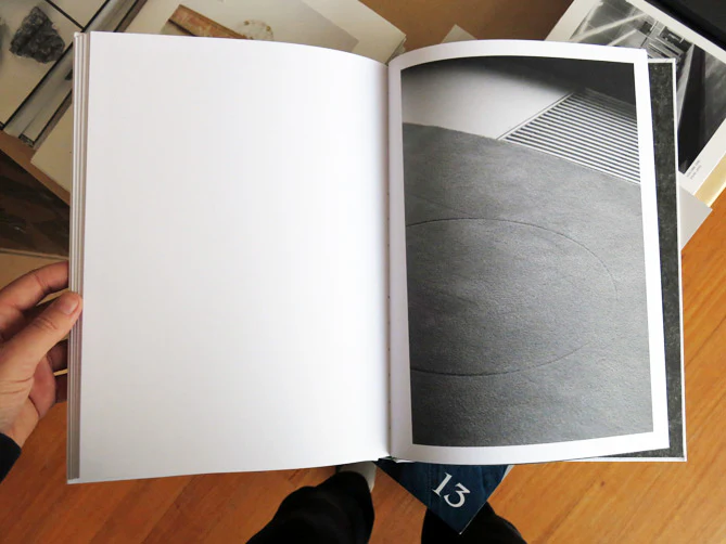 Saskia Groneberg - Buropflanze (Office Plant) - Image 6