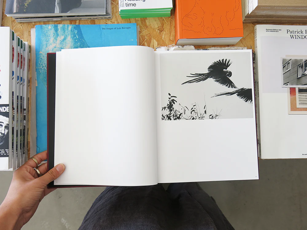 Sebastião Salgado: On Birds (Des oiseaux) - Image 2
