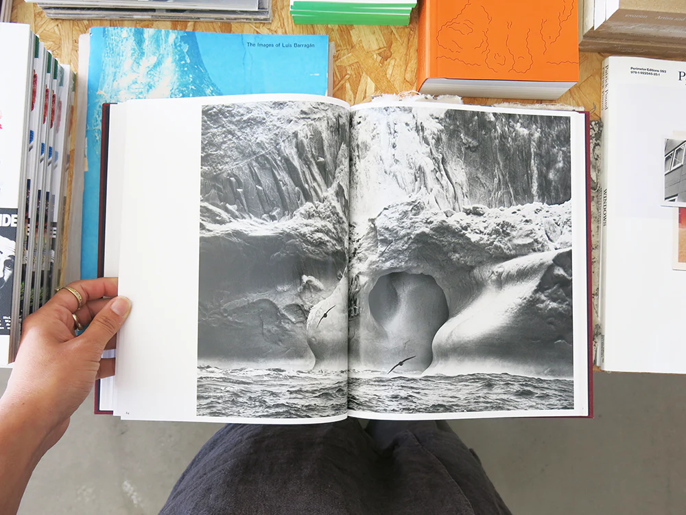 Sebastião Salgado: On Birds (Des oiseaux) - Image 8