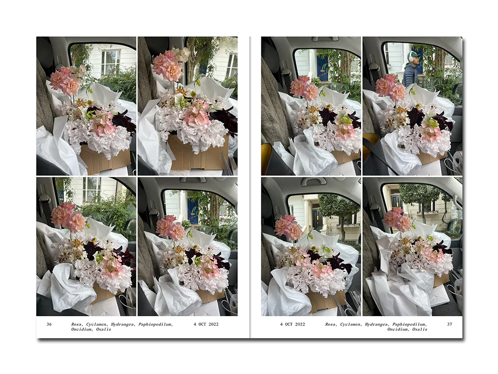 PRE-ORDER: Simone Gooch – Flowers in the Front Seat - Image 4