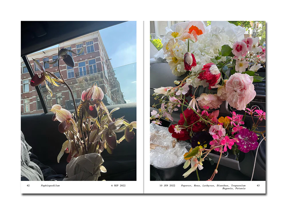 PRE-ORDER: Simone Gooch – Flowers in the Front Seat - Image 5