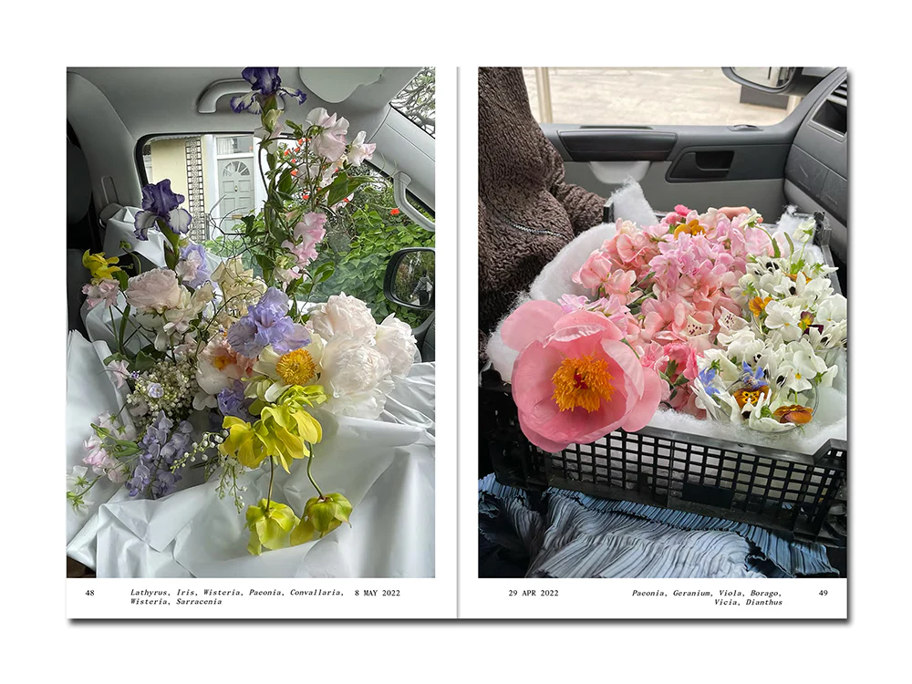 PRE-ORDER: Simone Gooch – Flowers in the Front Seat - Image 6