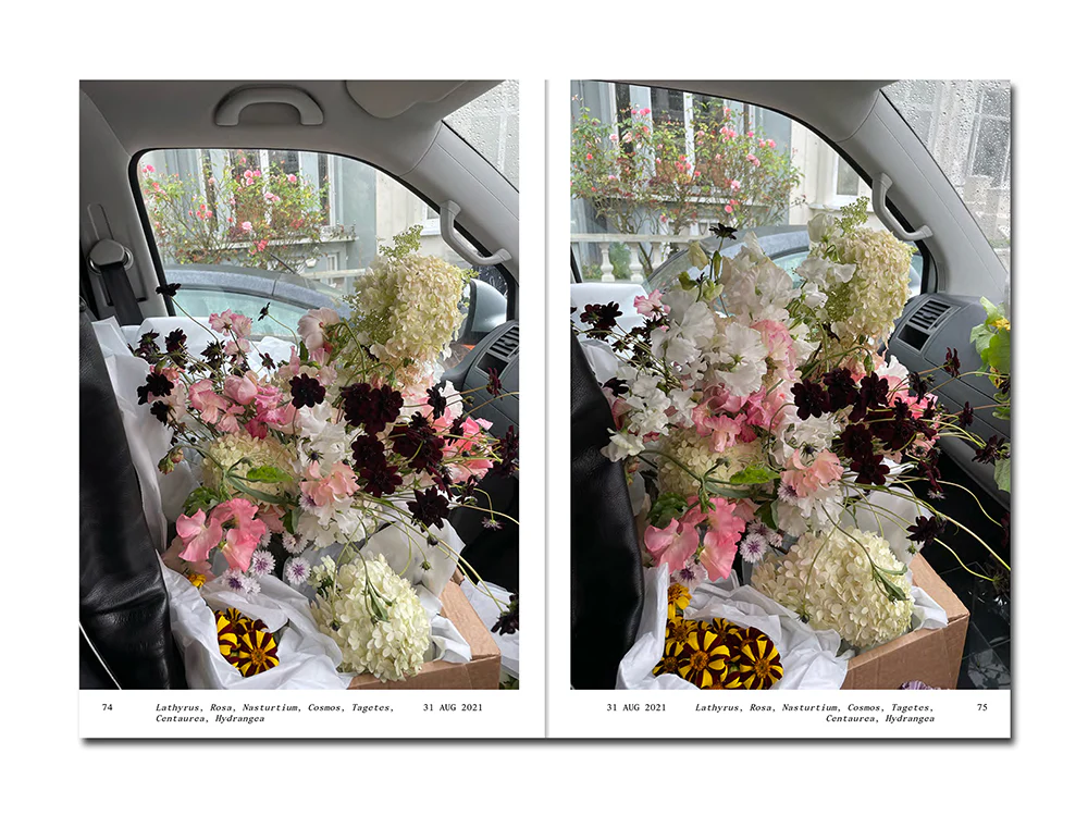 PRE-ORDER: Simone Gooch – Flowers in the Front Seat - Image 9