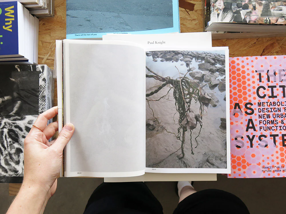 PRE-ORDER: Sketches of Transition: An Atlas on Growth and Decay - Image 3