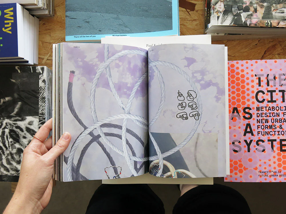 PRE-ORDER: Sketches of Transition: An Atlas on Growth and Decay - Image 6