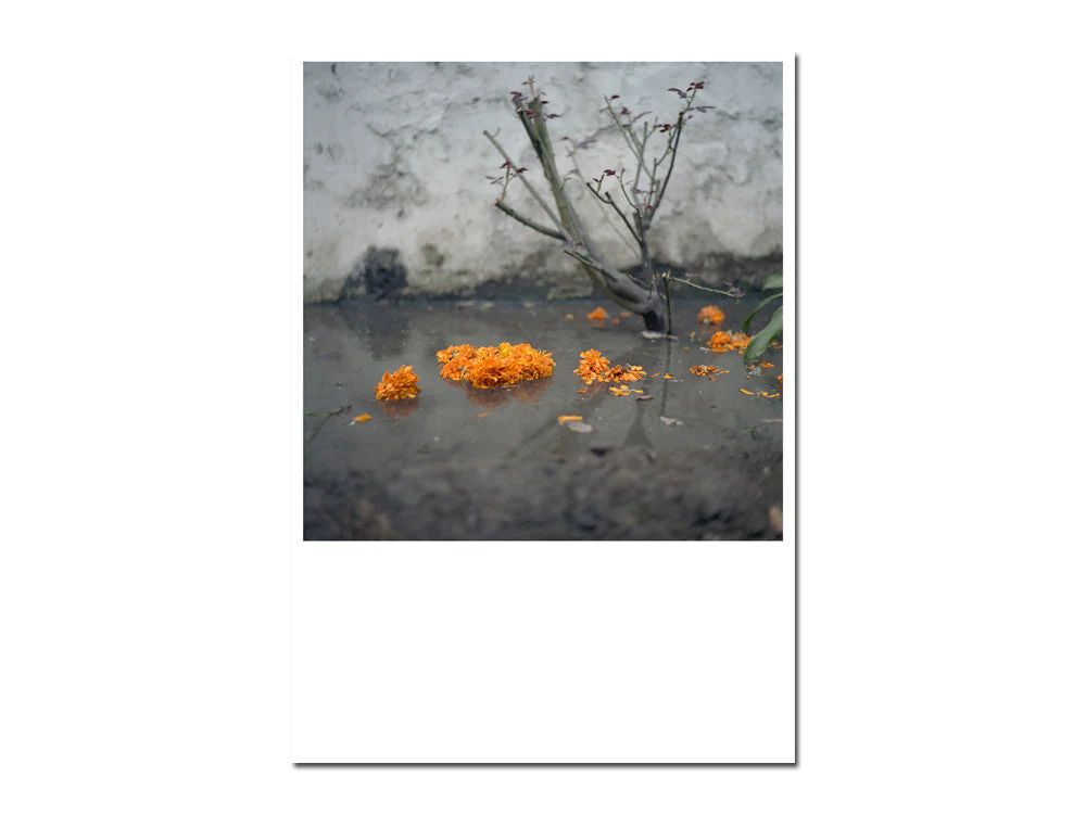 SPECIAL EDITION: Anu Kumar – Ghar - Image 15