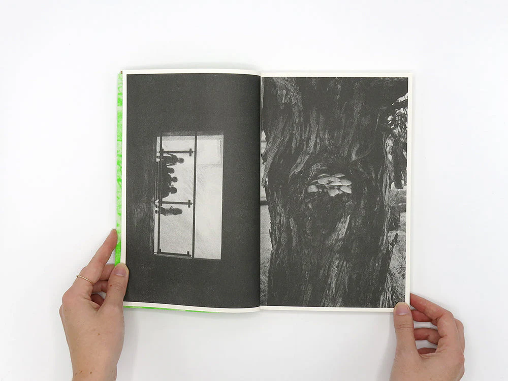 SPECIAL EDITION: Luke Le – What are you looking for? - Image 4