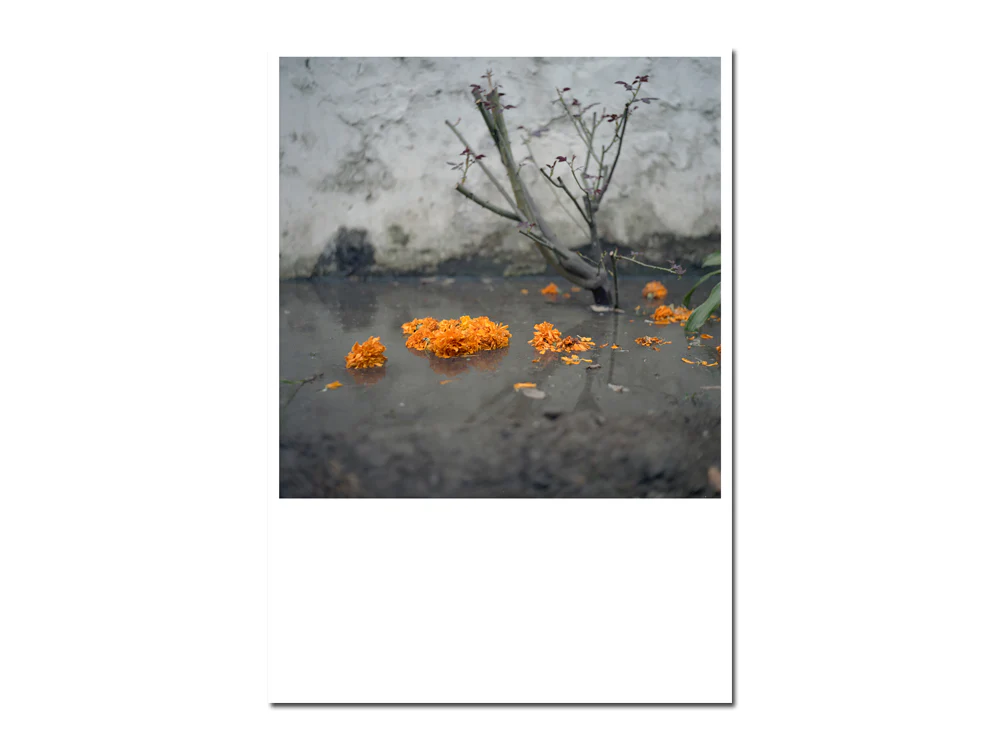 Anu Kumar – Ghar - Image 14