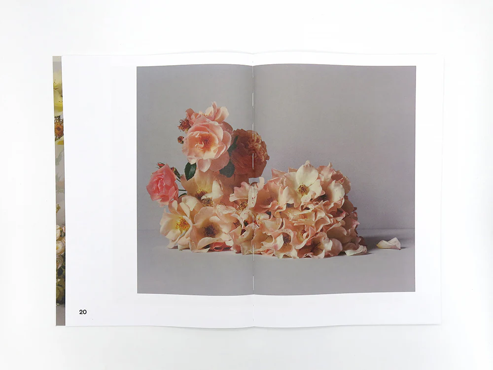 Simone Gooch + Derek Henderson – Rosa - Image 6