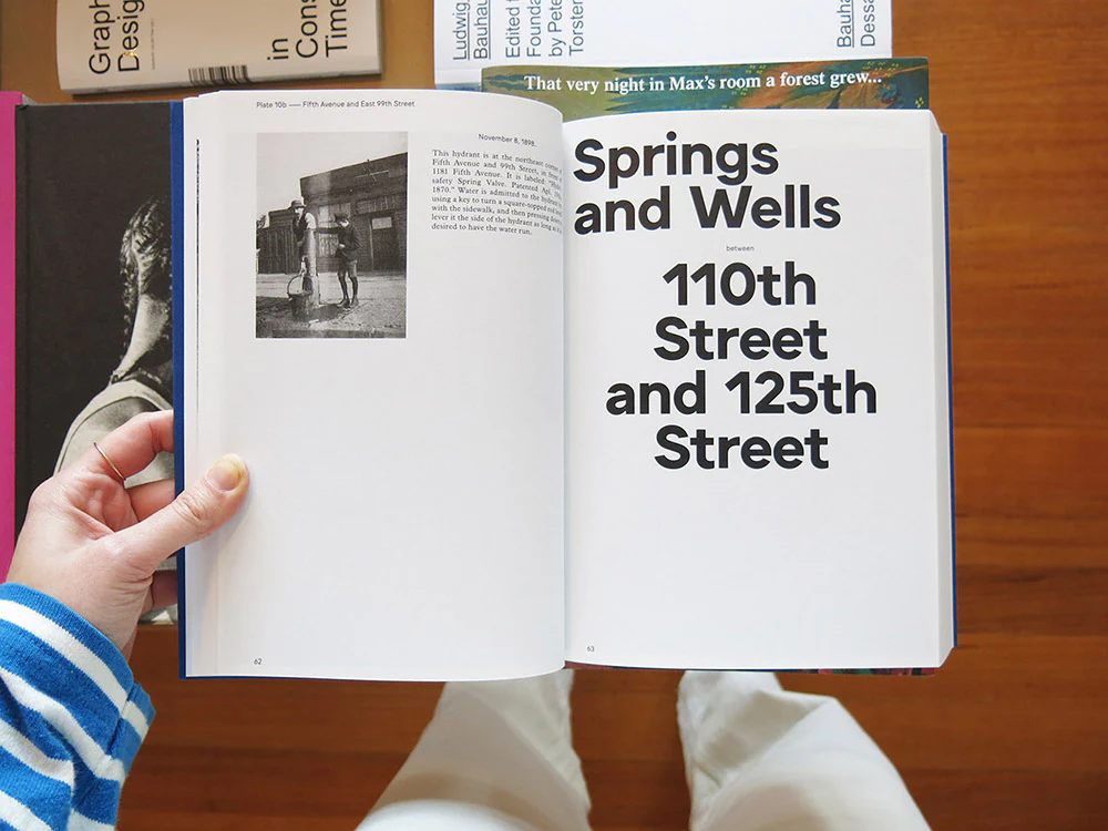 Stanley Greenberg – Springs and Wells, Manhattan and the Bronx - Image 4