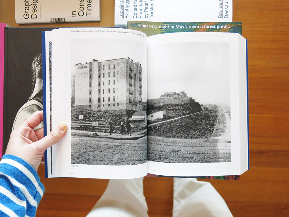 Stanley Greenberg – Springs and Wells, Manhattan and the Bronx - Image 5