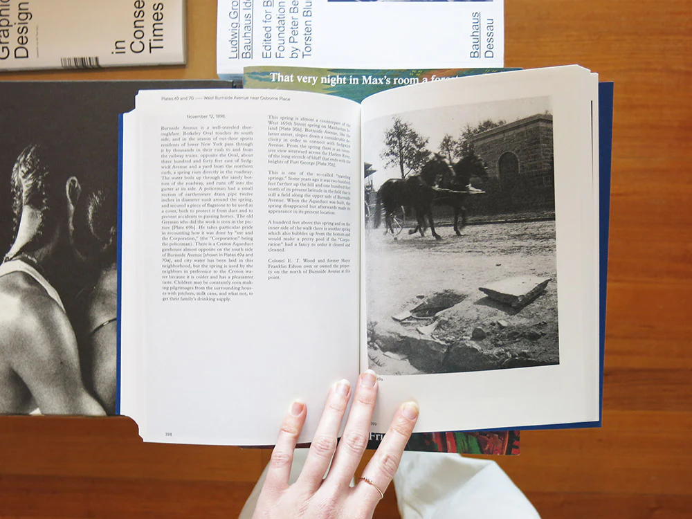 Stanley Greenberg – Springs and Wells, Manhattan and the Bronx - Image 9