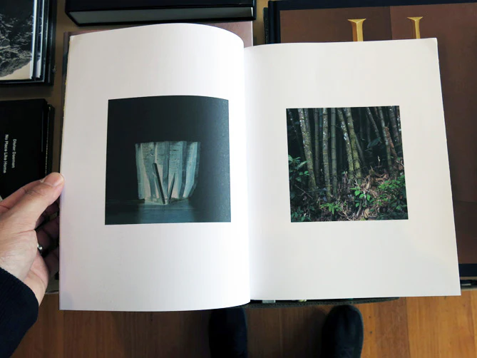 Stuart Whipps - White Ashes Fell - Image 5