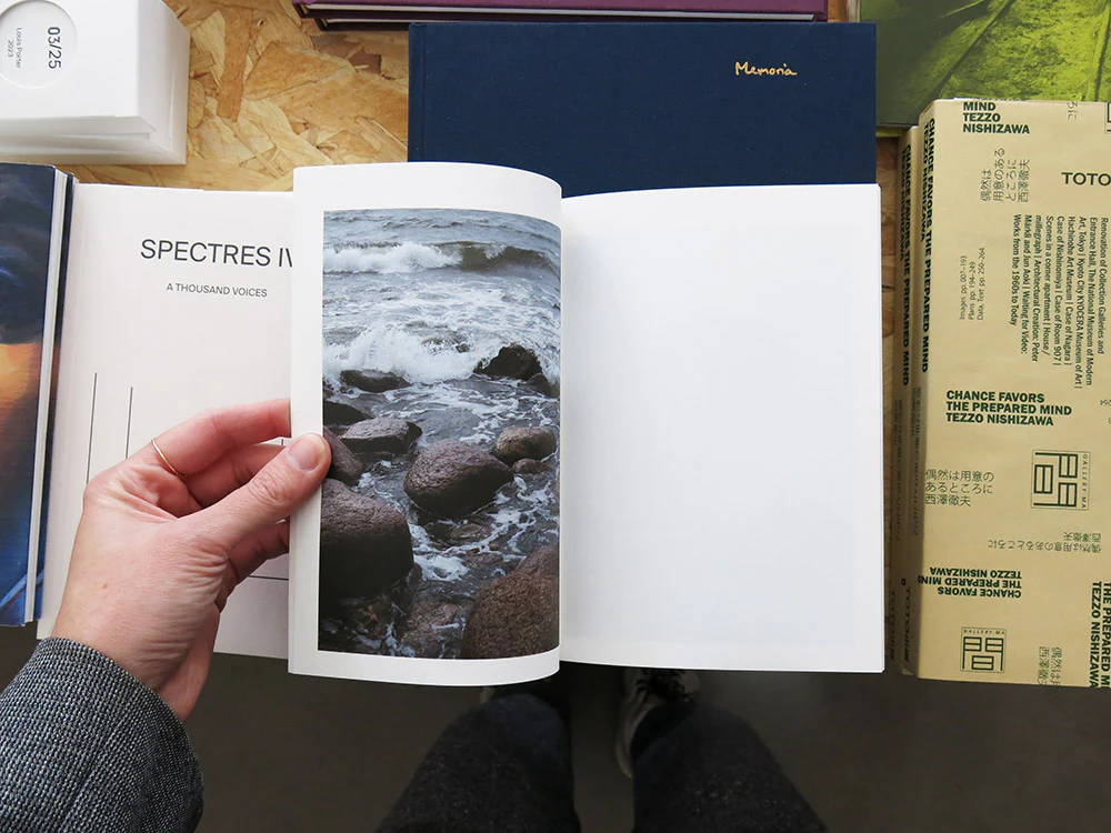 Takashi Homma – Islands, Islets, and Their Mushrooms - Image 3
