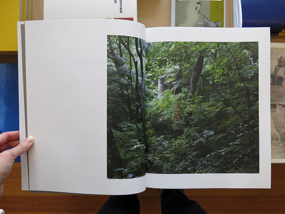 Takashi Homma – Symphony: mushrooms from the forest - Image 2
