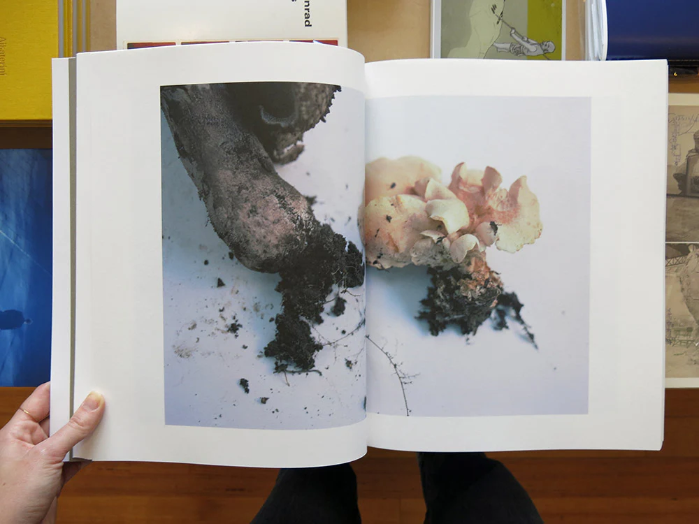 Takashi Homma – Symphony: mushrooms from the forest - Image 4