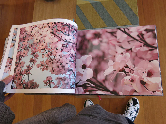 Thomas Demand & Ben Lerner - Blossom - Image 4