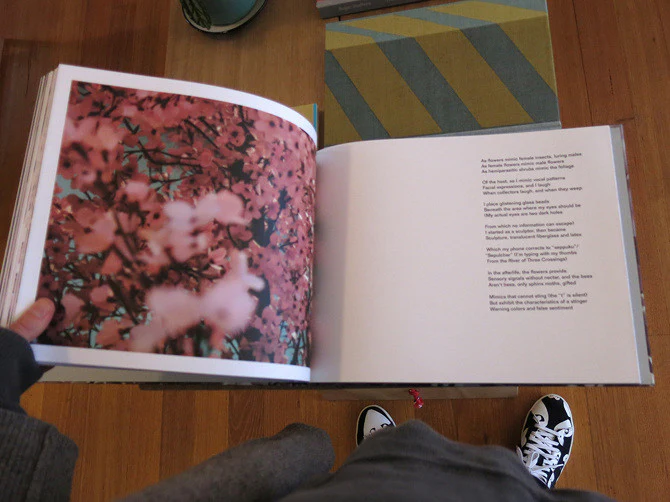 Thomas Demand & Ben Lerner - Blossom - Image 5