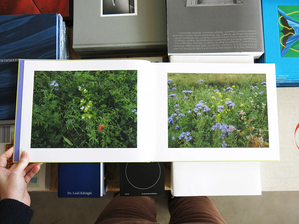 Thomas Demand – The Triple Folly [Single Volume] - Image 2