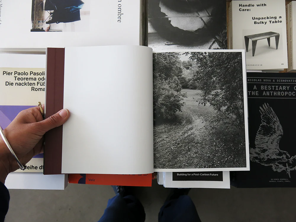 Tim Carpenter – Little - Image 5