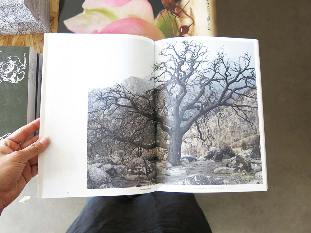 Todd Stewart & Robert Bailey – The Course of Water: Fieldnotes from California’s Owens Valley - Image 6
