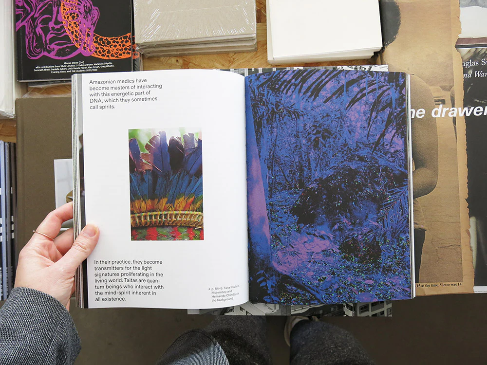 Ursula Biemann – Forest Mind: On the Interconnection of All Life - Image 7
