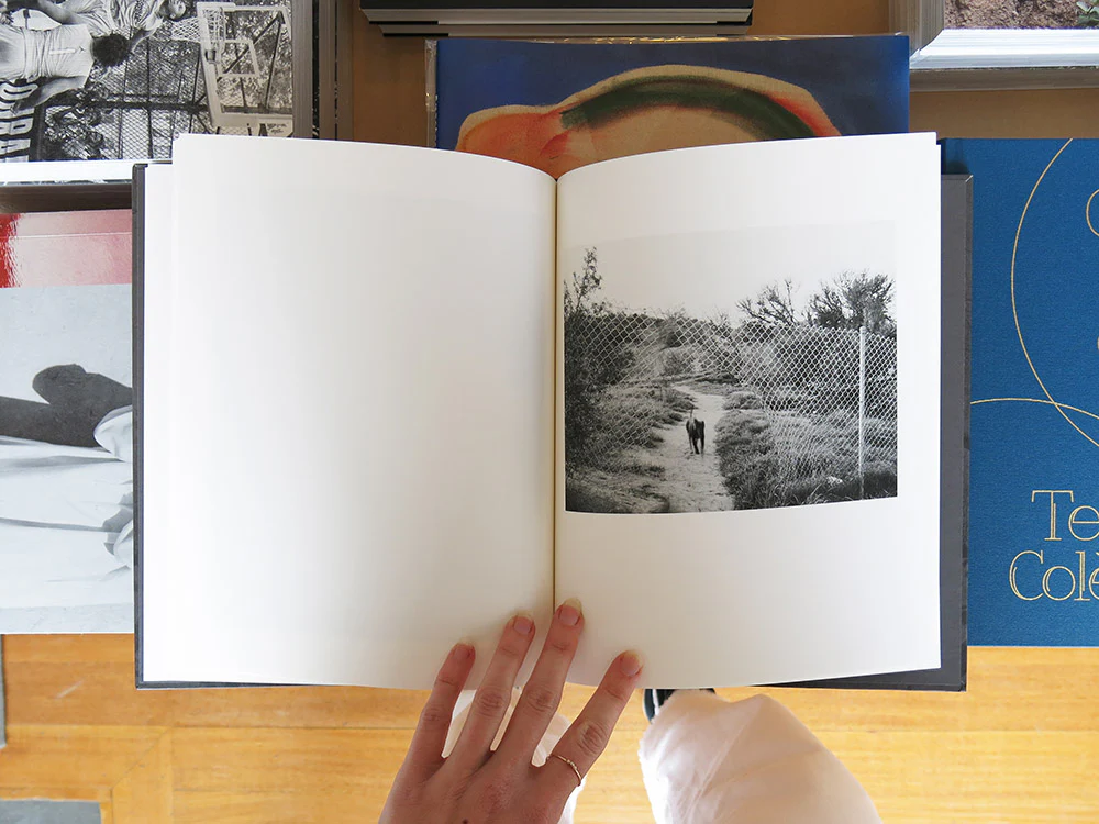 Virginia Wilcox – Arboreal - Image 6