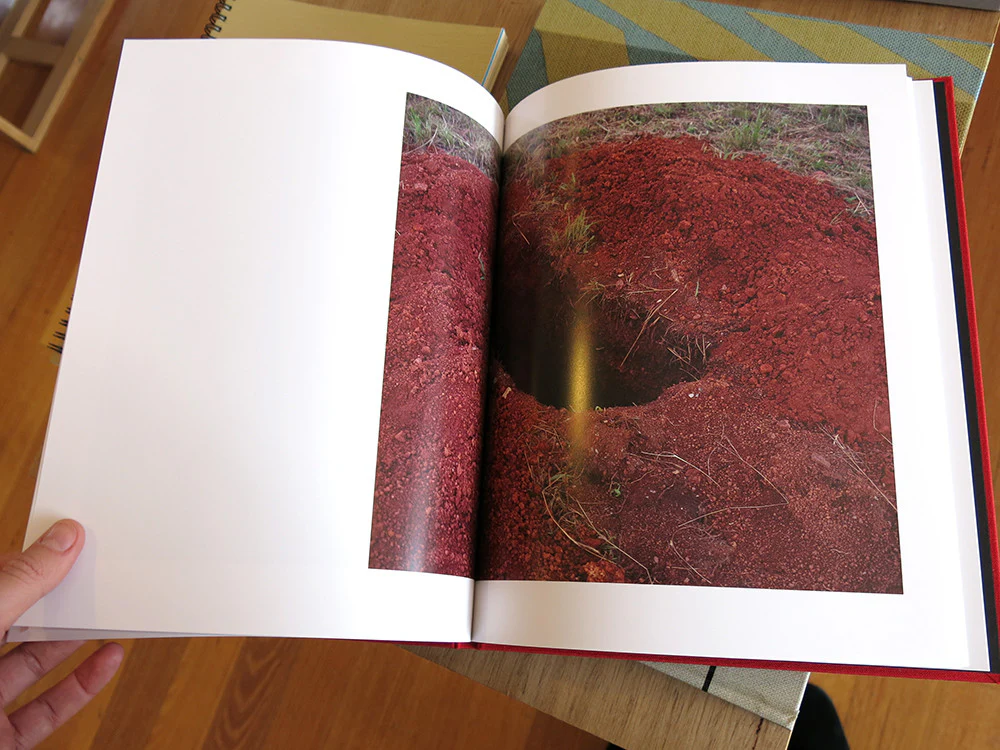 Viviane Sassen - Lexicon - Image 7