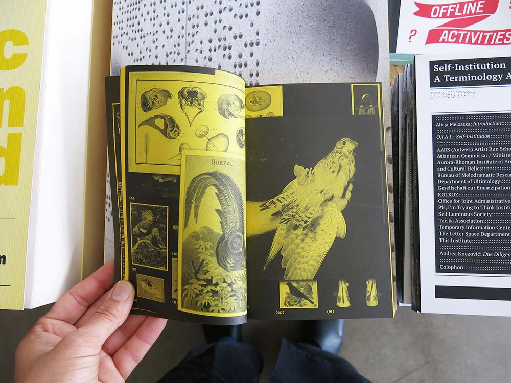 With a Bird, A Reader on Avian Kinship - Image 10