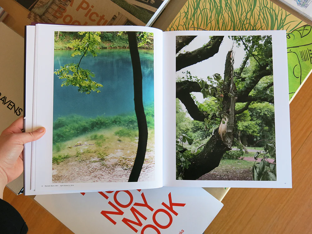 Wolfgang Tillmans - Image 2