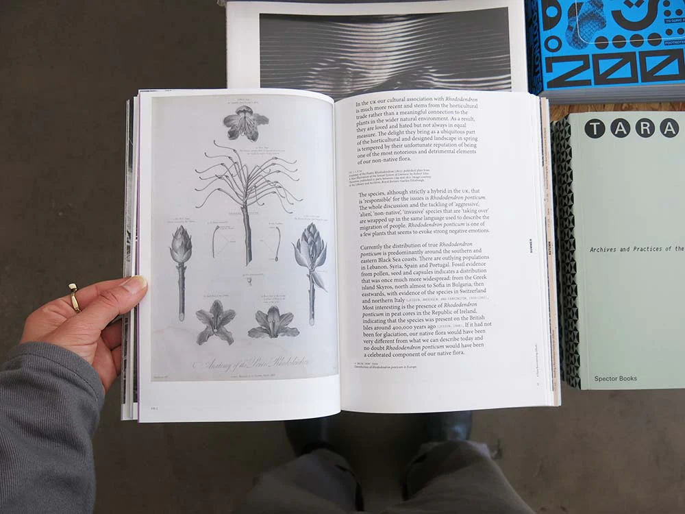 Yan Wang Preston – With Love. From an Invader: Rhododendrons, Empire, China and Me - Image 6