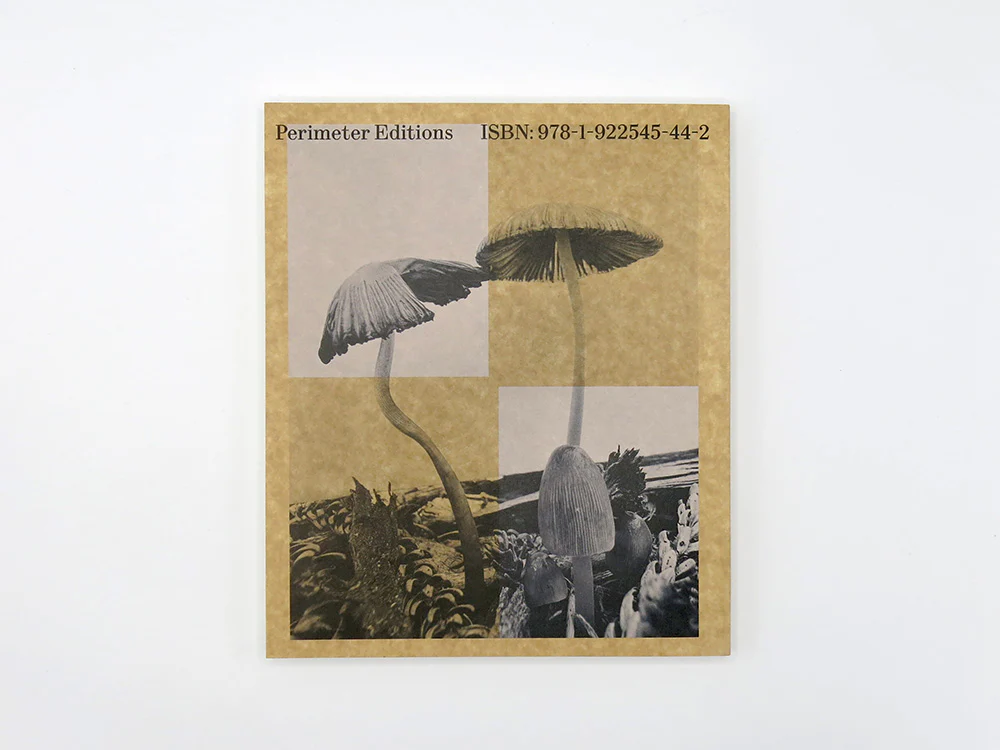Ying Ang – Fruiting Bodies - Image 16